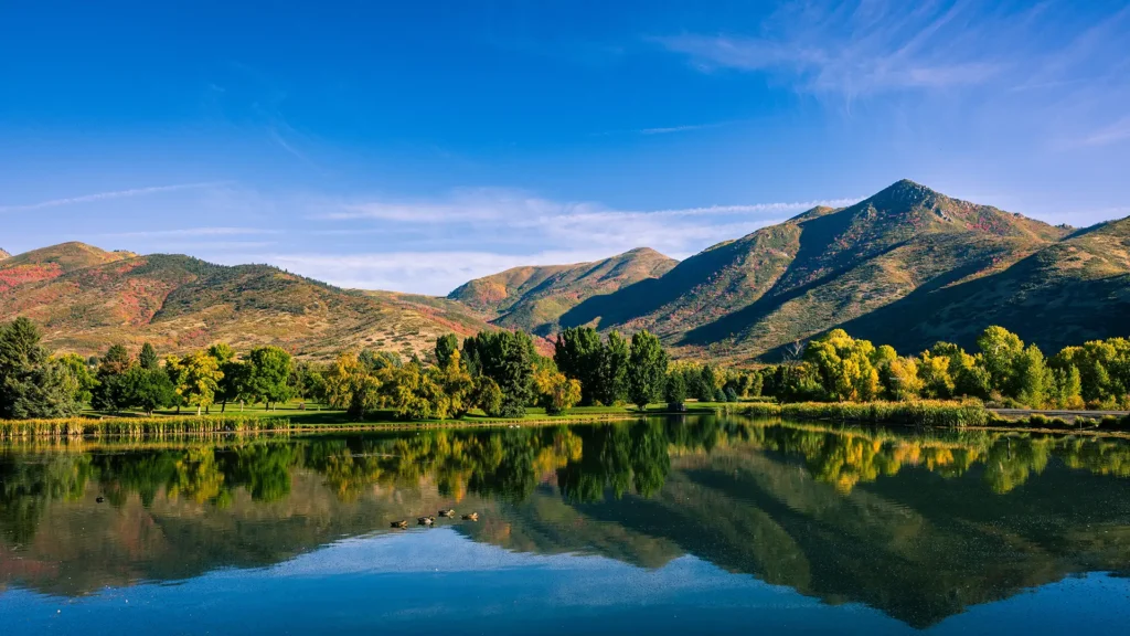 Advancing Shoulder Care NSM & ISS 2025