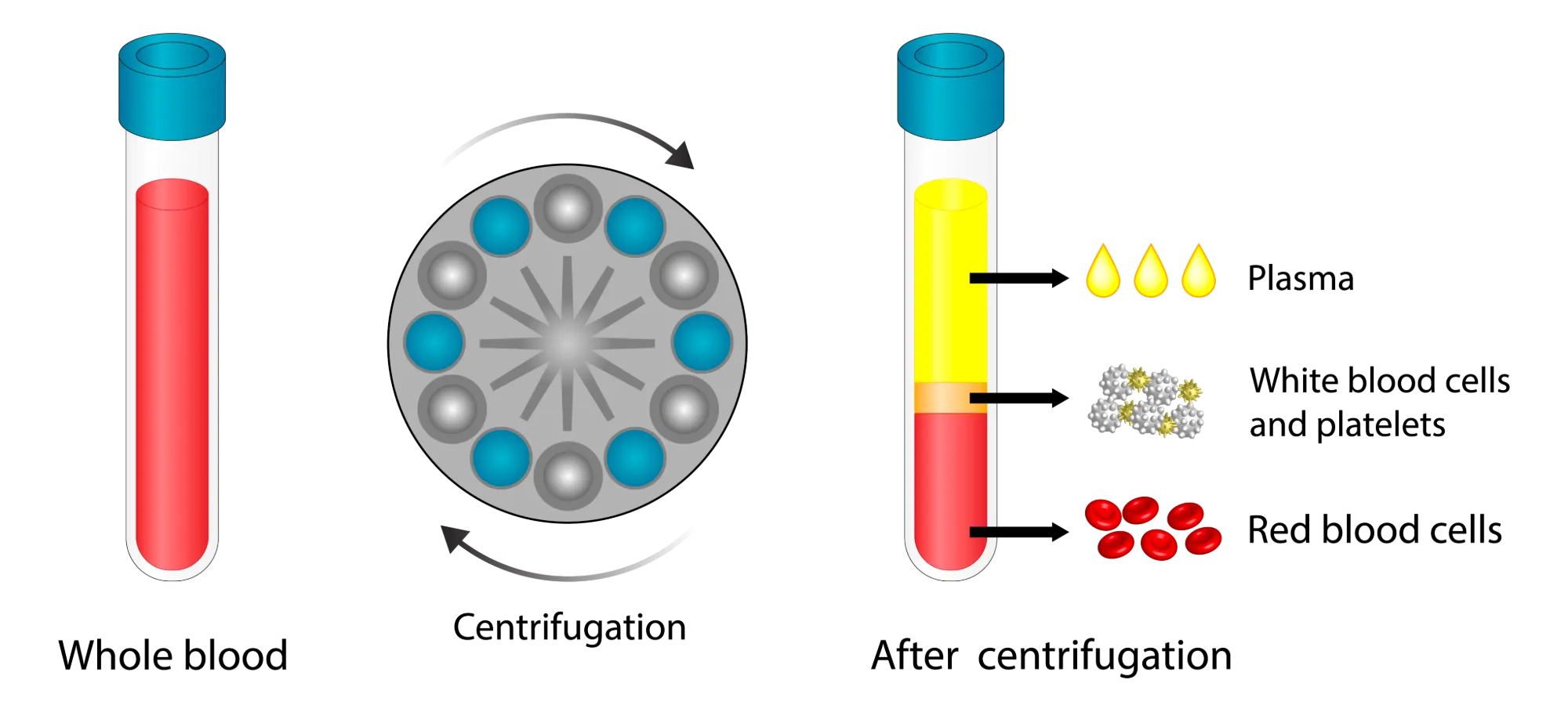 PRP Process Graphic